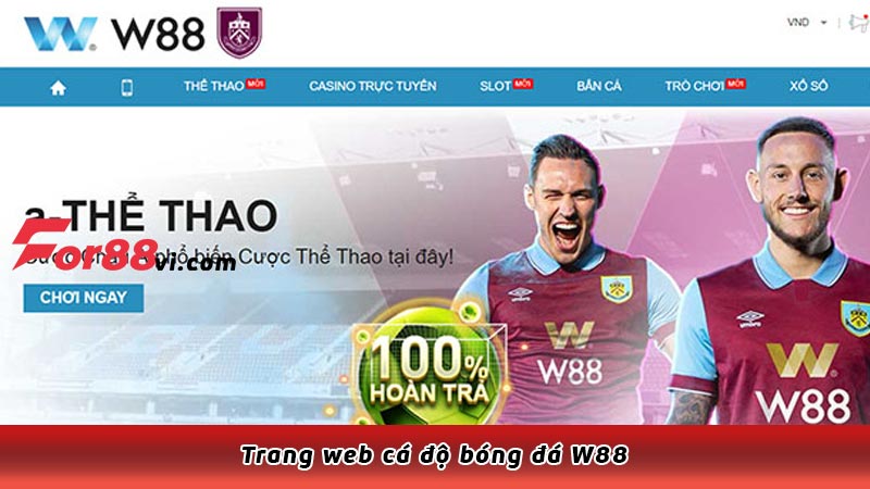 Trang web cá độ bóng đá W88